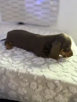 processed/9eca212c-f8e1-49e2-877a-df762d6c7af2/listing/55c93981-0bad-477c-b6e6-2e4b22f1da4a/dc515538-3f54-4bc9-9ef4-a4666def30ab