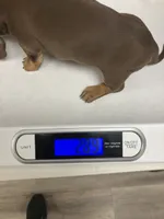 processed/9eca212c-f8e1-49e2-877a-df762d6c7af2/listing/55c93981-0bad-477c-b6e6-2e4b22f1da4a/e618a181-845f-4f59-ada4-c5438871edb6