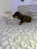 processed/9eca212c-f8e1-49e2-877a-df762d6c7af2/listing/55c93981-0bad-477c-b6e6-2e4b22f1da4a/edeada30-d7a1-4f7a-a032-6db6976614c3