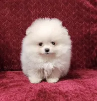 processed/9ed22074-1691-4dd1-999e-f9a88e1233fa/listing/0acb8e89-7351-4418-ba7c-210467821334/395c8d55-1971-4dab-9df8-5e9a3cdbfb35