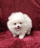 processed/9ed22074-1691-4dd1-999e-f9a88e1233fa/listing/0acb8e89-7351-4418-ba7c-210467821334/5d9d1acb-7292-4a3e-ab17-4a16c8dc9435