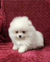 processed/9ed22074-1691-4dd1-999e-f9a88e1233fa/listing/0acb8e89-7351-4418-ba7c-210467821334/8e23650e-907f-4532-958b-79fa134a9a69