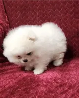 processed/9ed22074-1691-4dd1-999e-f9a88e1233fa/listing/0acb8e89-7351-4418-ba7c-210467821334/cd583eb5-ed37-4d57-96c7-47366917ea37