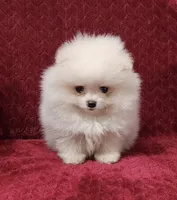 processed/9ed22074-1691-4dd1-999e-f9a88e1233fa/listing/0acb8e89-7351-4418-ba7c-210467821334/f8807a08-8ab1-4a61-8797-cb49c244050d