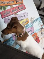 processed/9ed3bccd-5432-4951-982e-4b7cd8f14c14/listing/b7f8a10e-93a0-4859-bccb-7e238995b1c6/1151b1ee-99b0-46dc-9e19-fff1cd3e1e41