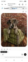 Rosie, a female Great Dane for sale in Union, IL – 1 of 2