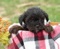 processed/9ee38280-ebbe-429d-8b78-3d7f5e33193f/listing/38d284f5-5165-4d31-9819-6fbccdc7c8c1/103a19b2-2eeb-46bc-82cc-68e9b7a1ee40