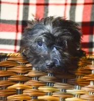 processed/9ee38280-ebbe-429d-8b78-3d7f5e33193f/listing/38d284f5-5165-4d31-9819-6fbccdc7c8c1/ad065b2a-49c0-4a83-86f4-b9d836c05b89