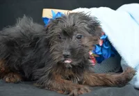 processed/9ee38280-ebbe-429d-8b78-3d7f5e33193f/listing/38d284f5-5165-4d31-9819-6fbccdc7c8c1/dc7d46b0-0c99-422e-ac7a-2aea16b949fb