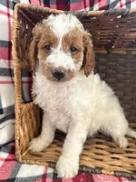 processed/9ee38280-ebbe-429d-8b78-3d7f5e33193f/listing/77b5c162-eb27-4d4d-b500-fccf8ee8af90/cce5c0ec-3ca7-4537-a209-5c633c0d5d45