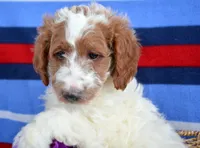 processed/9ee38280-ebbe-429d-8b78-3d7f5e33193f/listing/77b5c162-eb27-4d4d-b500-fccf8ee8af90/ef55c2c6-0139-4e82-913c-83e480b0b151