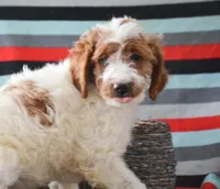 processed/9ee38280-ebbe-429d-8b78-3d7f5e33193f/listing/77b5c162-eb27-4d4d-b500-fccf8ee8af90/fc1e7583-0f4e-40eb-9ef4-8df546bca973