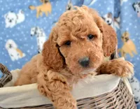 processed/9ee38280-ebbe-429d-8b78-3d7f5e33193f/listing/a872e7fd-84af-4f35-9dec-26a0dfe30580/00a3c5be-9316-4a99-9a6d-e43656edf300