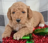 processed/9ee38280-ebbe-429d-8b78-3d7f5e33193f/listing/a872e7fd-84af-4f35-9dec-26a0dfe30580/04496a64-10fa-4c66-b071-dcba02bea37e