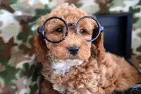 processed/9ee38280-ebbe-429d-8b78-3d7f5e33193f/listing/a872e7fd-84af-4f35-9dec-26a0dfe30580/b7ead65c-8c31-4246-bdfc-fba6d5d975e9