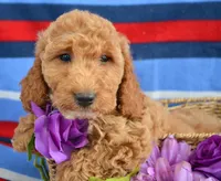 processed/9ee38280-ebbe-429d-8b78-3d7f5e33193f/listing/a872e7fd-84af-4f35-9dec-26a0dfe30580/c312e5a5-dc80-42e6-8780-6bdf42d50cd1