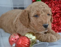 processed/9ee38280-ebbe-429d-8b78-3d7f5e33193f/listing/a872e7fd-84af-4f35-9dec-26a0dfe30580/debb8cae-9a8b-42eb-b6d4-62bfb45e206b