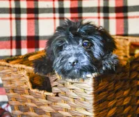 processed/9ee38280-ebbe-429d-8b78-3d7f5e33193f/listing/f5f7ef65-59a6-46ed-9c97-f4db2fe5cd13/3b36835e-7927-4906-93a6-02a86c4f2b53