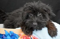 processed/9ee38280-ebbe-429d-8b78-3d7f5e33193f/listing/f5f7ef65-59a6-46ed-9c97-f4db2fe5cd13/965ca0c0-71bc-43a9-98a1-aff78ba00a47