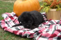 processed/9ee38280-ebbe-429d-8b78-3d7f5e33193f/listing/f5f7ef65-59a6-46ed-9c97-f4db2fe5cd13/b44aeed1-21a7-4138-bdf5-c87a57c31f55