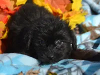 processed/9ee38280-ebbe-429d-8b78-3d7f5e33193f/listing/f5f7ef65-59a6-46ed-9c97-f4db2fe5cd13/e8dc9b8c-512a-4c8f-b7db-a0bcbcc7189a