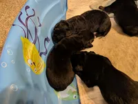 processed/9ef5edaa-aa4a-407f-9416-7ea2006479aa/listing/77007cd0-4eb7-43e2-a6a4-003cd4b6444a/1b211a42-c563-4ba1-b90e-52b09291d8ed