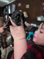 processed/9ef5edaa-aa4a-407f-9416-7ea2006479aa/listing/77007cd0-4eb7-43e2-a6a4-003cd4b6444a/59833405-eea3-4460-bc18-3ce5ccd1d299