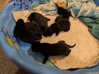 processed/9ef5edaa-aa4a-407f-9416-7ea2006479aa/listing/77007cd0-4eb7-43e2-a6a4-003cd4b6444a/775d616d-3c20-4580-8714-b422cfa2a570