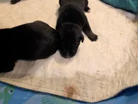 processed/9ef5edaa-aa4a-407f-9416-7ea2006479aa/listing/77007cd0-4eb7-43e2-a6a4-003cd4b6444a/d225eb2f-78ac-4e0d-8b26-984b37954d6f