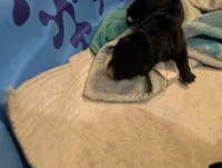 processed/9ef5edaa-aa4a-407f-9416-7ea2006479aa/listing/77007cd0-4eb7-43e2-a6a4-003cd4b6444a/d6c01462-5324-442c-a3a4-8e34945c24b7