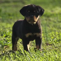 processed/9efa515e-8a0f-4356-9a06-9e498edae175/facility/00e72ee9-daf9-4920-bb35-290306106732