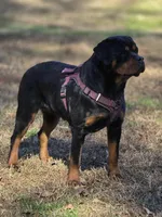 processed/9efa515e-8a0f-4356-9a06-9e498edae175/facility/19b9cbde-144b-4c3d-91a0-1266bf3d6fd7