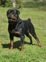 processed/9efa515e-8a0f-4356-9a06-9e498edae175/facility/1afbd55d-c822-42ee-85fc-8bb0b14278c7