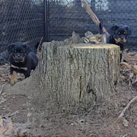 processed/9efa515e-8a0f-4356-9a06-9e498edae175/facility/68383a6a-afbb-4b6c-8b5f-f5b032332998