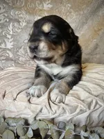 processed/9efc2ea0-c657-47aa-b891-65d4bb6c0312/listing/09914e48-f0e1-4d47-9019-5d593a00ee3b/3a169430-45f2-4493-88db-20af354a3a43