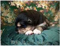 processed/9efc2ea0-c657-47aa-b891-65d4bb6c0312/listing/09914e48-f0e1-4d47-9019-5d593a00ee3b/465ff8f8-c9ea-40bc-830e-f1eb57518202