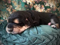 processed/9efc2ea0-c657-47aa-b891-65d4bb6c0312/listing/09914e48-f0e1-4d47-9019-5d593a00ee3b/4e34fc7b-bb86-4098-9a69-7e2849ac7f54