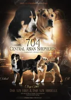 processed/9efc2ea0-c657-47aa-b891-65d4bb6c0312/listing/09914e48-f0e1-4d47-9019-5d593a00ee3b/76e0e16b-aa81-4a43-b675-858fda98d9da