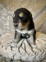 processed/9efc2ea0-c657-47aa-b891-65d4bb6c0312/listing/09914e48-f0e1-4d47-9019-5d593a00ee3b/dffe368f-3691-4699-b2a2-3bd268004c34