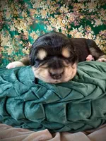 processed/9efc2ea0-c657-47aa-b891-65d4bb6c0312/listing/09914e48-f0e1-4d47-9019-5d593a00ee3b/e2ba1a1a-46f1-4317-85ea-af0d8e58bcb9