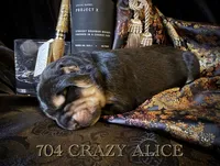 processed/9efc2ea0-c657-47aa-b891-65d4bb6c0312/listing/09914e48-f0e1-4d47-9019-5d593a00ee3b/e5f13cc2-6c72-40c3-8235-d1a92a4b65c8