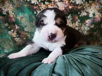 processed/9efc2ea0-c657-47aa-b891-65d4bb6c0312/listing/3c9a8c03-d8a7-4c25-bbe4-8fd22c59a3f6/0fcd6773-066c-4cfa-a159-7dfbf4686dc3