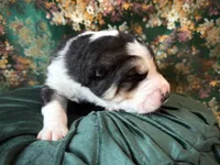 processed/9efc2ea0-c657-47aa-b891-65d4bb6c0312/listing/3c9a8c03-d8a7-4c25-bbe4-8fd22c59a3f6/23ec03d6-775c-43a4-8030-74684f1af757