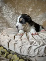 processed/9efc2ea0-c657-47aa-b891-65d4bb6c0312/listing/3c9a8c03-d8a7-4c25-bbe4-8fd22c59a3f6/463ef9a0-de7b-4c44-9ae1-38a36bdf8a5d