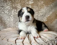 processed/9efc2ea0-c657-47aa-b891-65d4bb6c0312/listing/3c9a8c03-d8a7-4c25-bbe4-8fd22c59a3f6/48cf9010-7483-4d5f-b766-6545cebef692