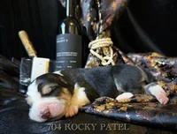 processed/9efc2ea0-c657-47aa-b891-65d4bb6c0312/listing/3c9a8c03-d8a7-4c25-bbe4-8fd22c59a3f6/50e61105-aa85-4ee1-98af-399b4f39f179