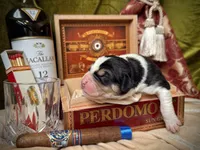 processed/9efc2ea0-c657-47aa-b891-65d4bb6c0312/listing/3c9a8c03-d8a7-4c25-bbe4-8fd22c59a3f6/d8f923b4-f0ab-40f9-8496-2e248cb6af08