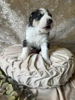 processed/9efc2ea0-c657-47aa-b891-65d4bb6c0312/listing/3c9a8c03-d8a7-4c25-bbe4-8fd22c59a3f6/efbd5e6f-b2d2-4a17-a008-3c900354c26e