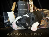 processed/9efc2ea0-c657-47aa-b891-65d4bb6c0312/listing/3e2f93f4-3f52-4e8c-bb44-a8b6620e96ee/05b18eab-65cb-4c51-aa7f-a77bf30acee4