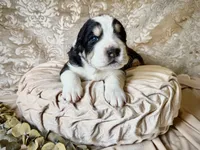 processed/9efc2ea0-c657-47aa-b891-65d4bb6c0312/listing/3e2f93f4-3f52-4e8c-bb44-a8b6620e96ee/0a2c41ff-36f6-4971-b412-503add64bee1